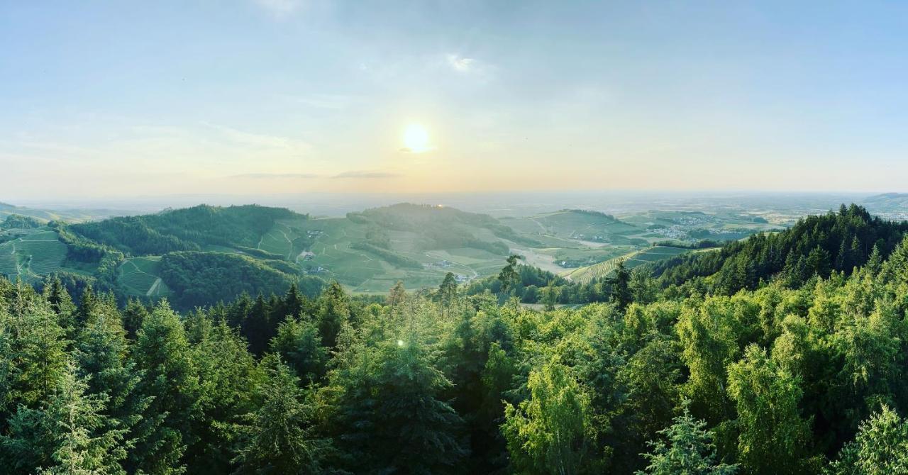 Ferienapartment Huber Oberkirch  Buitenkant foto