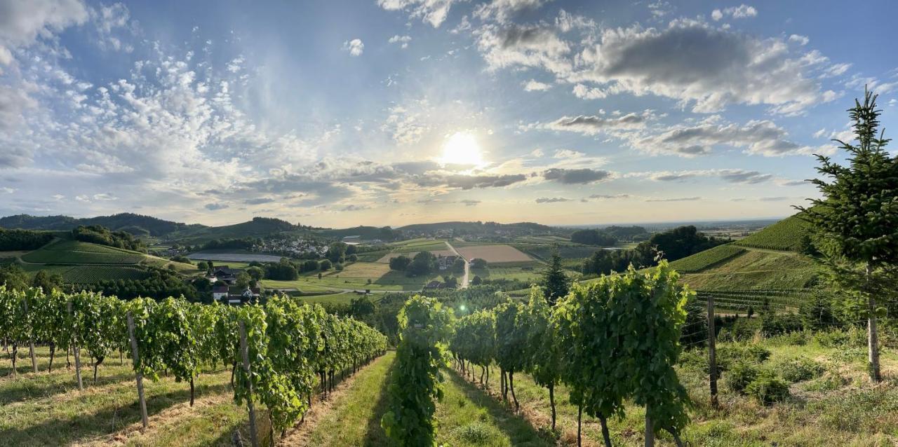 Ferienapartment Huber Oberkirch  Buitenkant foto