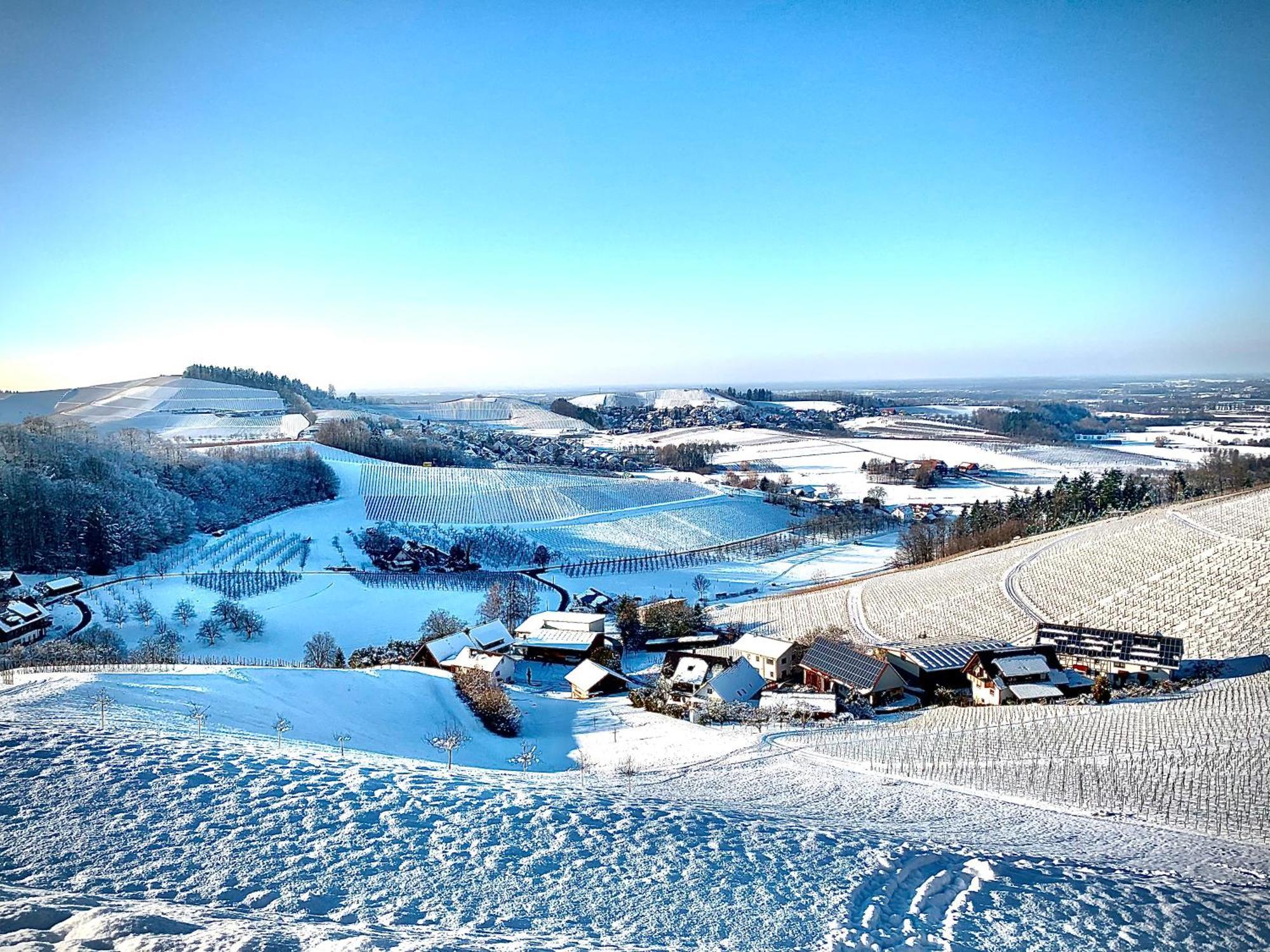 Ferienapartment Huber Oberkirch  Buitenkant foto